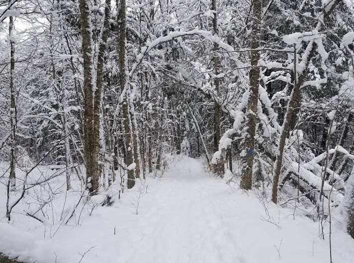 little river state park in Waterbury Vermont