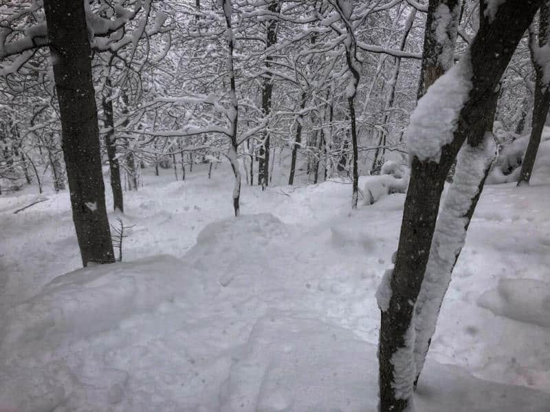 stowe ski resort tree skiing in powder